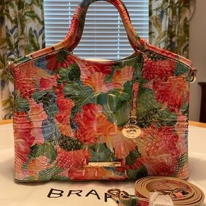 Brahmin Small Elaine Taffy Melbourne